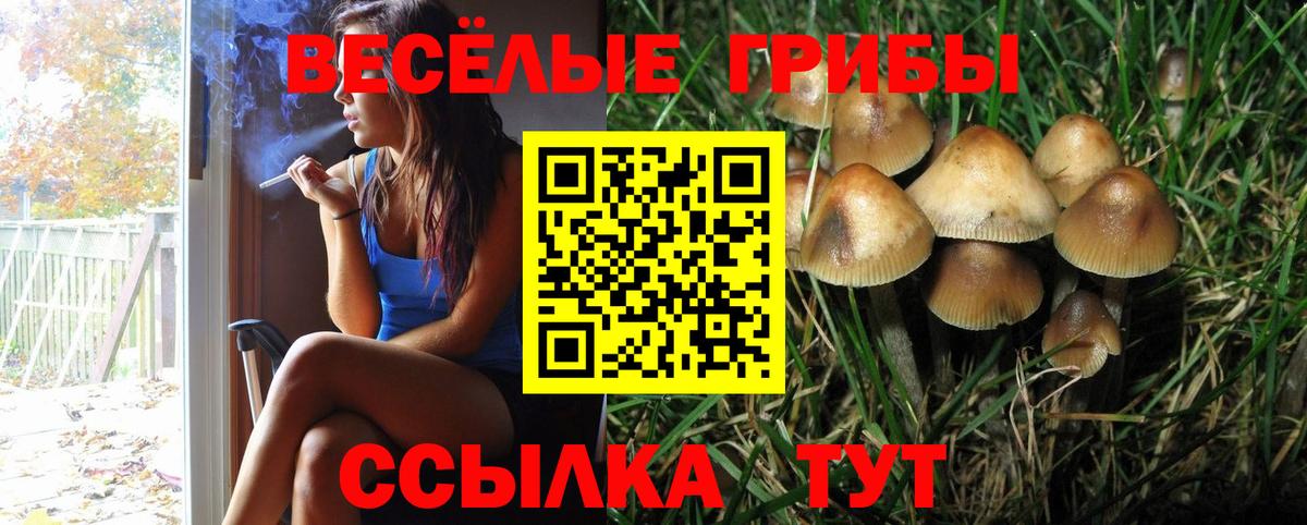 Галлюциногенные грибы Psilocybine cubensis Кубинка