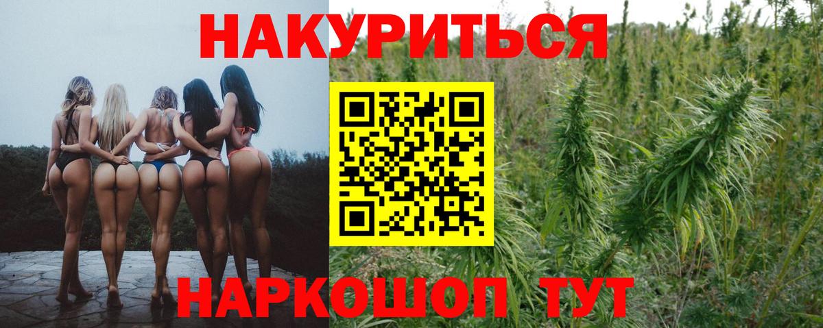 Бошки марихуана конопля Кубинка